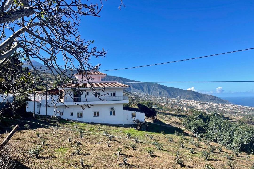 Photo of Others in Montijos