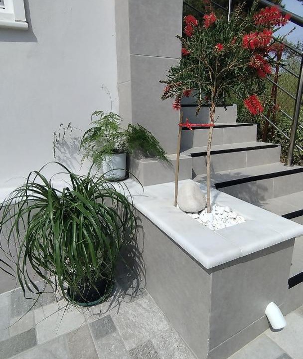 Photo of Others in Isthmia