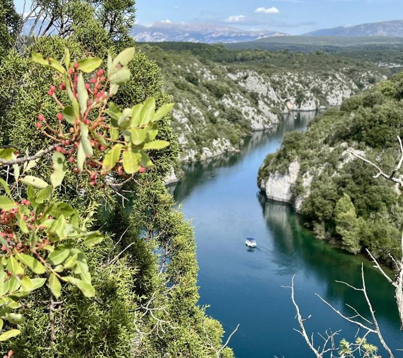 Photo of Others in Saint-Laurent-du-Verdon
