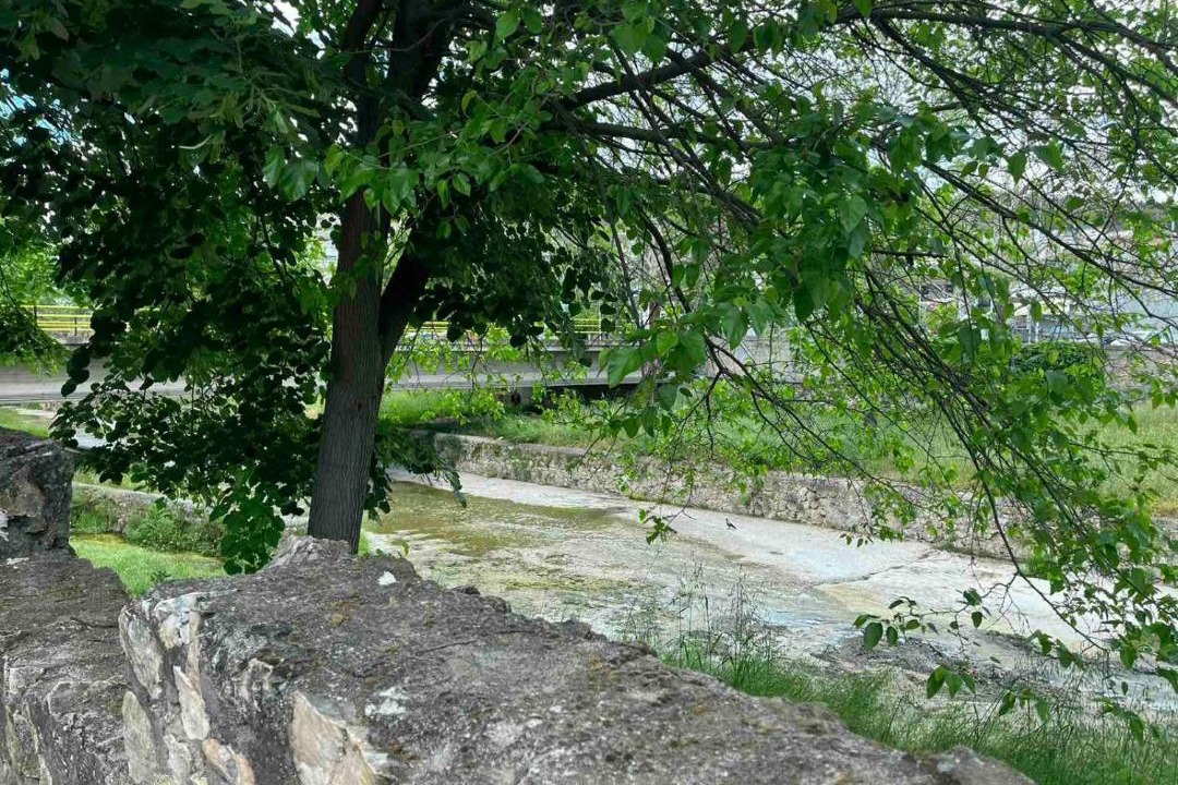 Photo of Others in Elassona