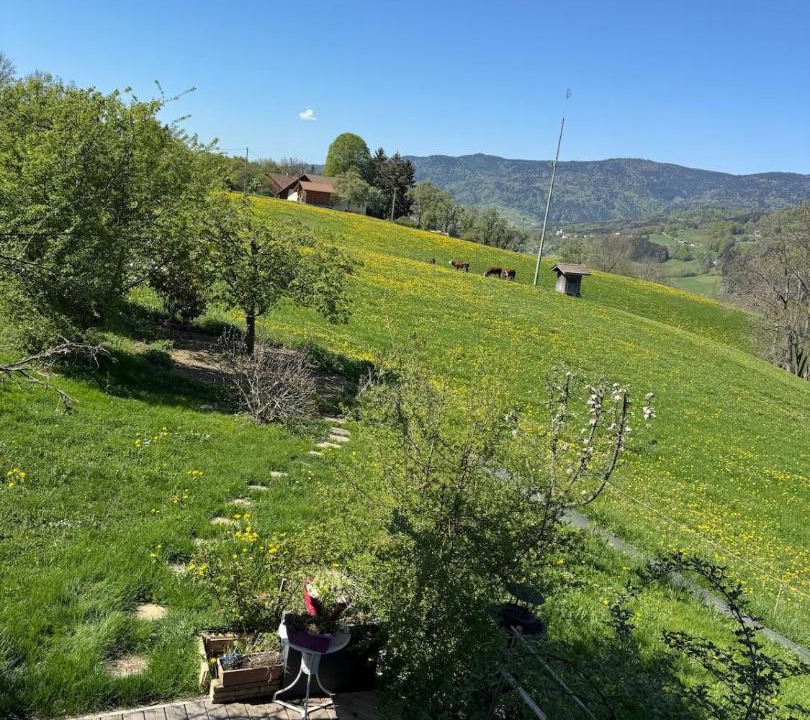 Photo of Others in Habere-Lullin