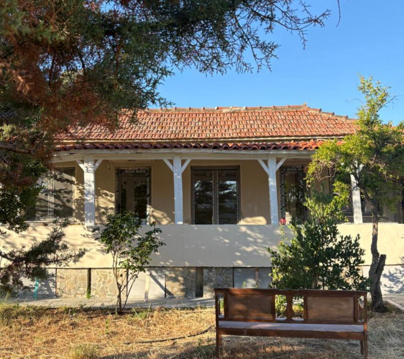 Photo of Others in Eresos-Antissa