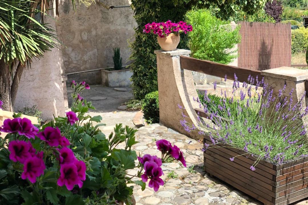 Photo of Others in Valensole