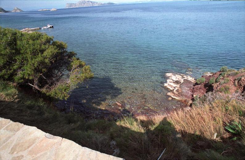 Photo of Others in Hydra