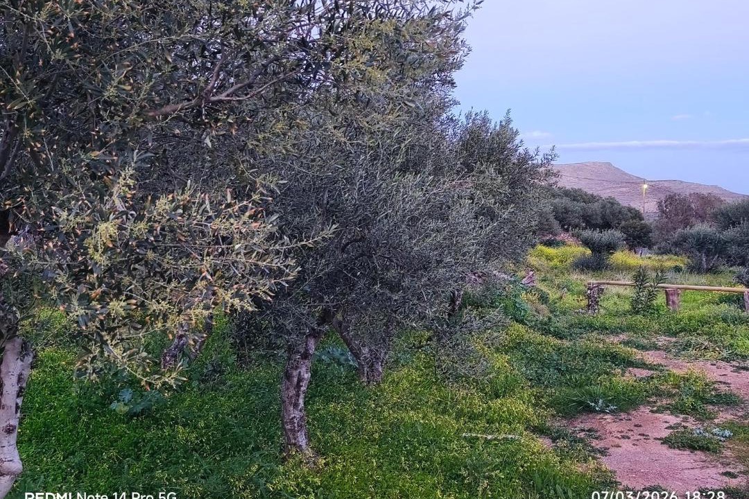 Photo of Others in Kato Zakros