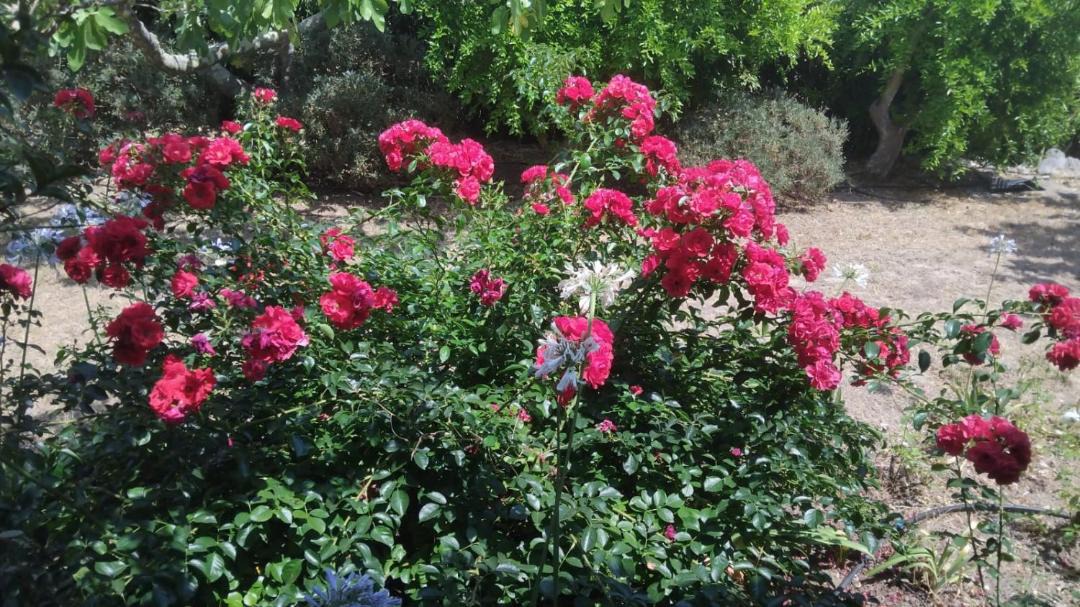 Photo of Outdoor in Sainte-Maxime - Saint-Tropez
