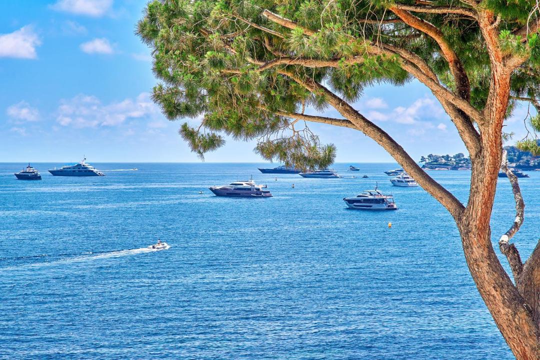 Photo of Others in Beaulieu-sur-Mer