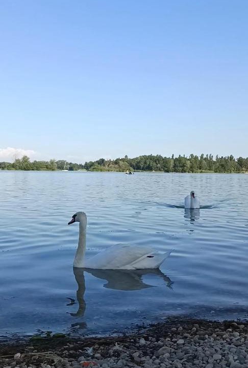 Photo of Others in Decines-Charpieu