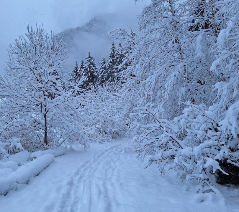 Photo of Others in Pralognan-la-Vanoise