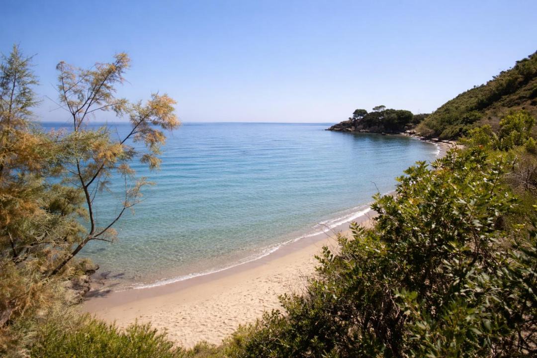 Photo of Others in Alikanas