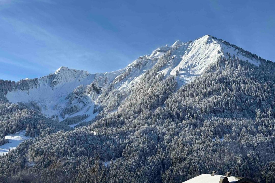 Photo of Others in La Chapelle-d'Abondance