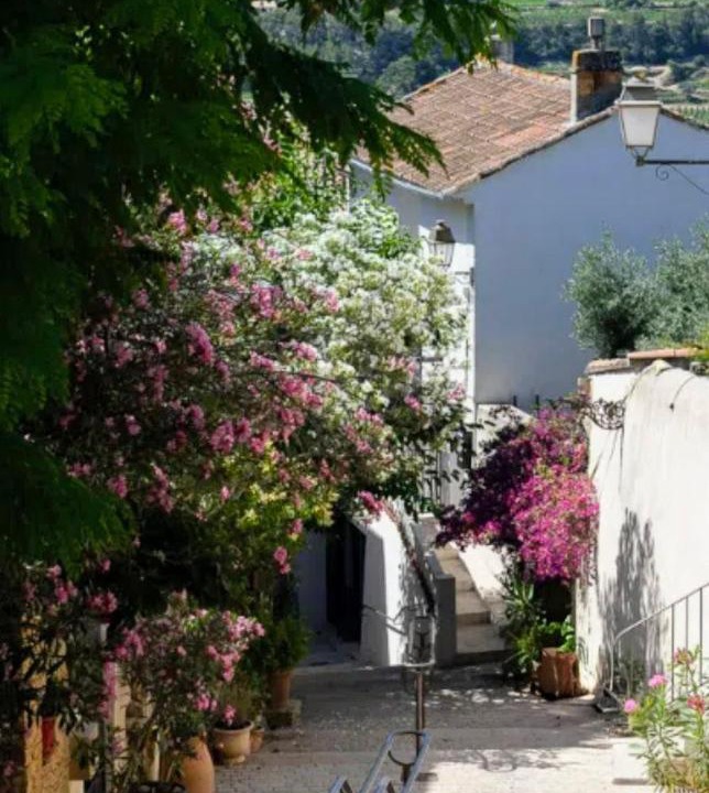 Photo of Others in La Cadiere-d'Azur
