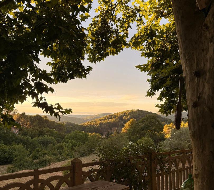 Photo of Patio Balcony in Auriol