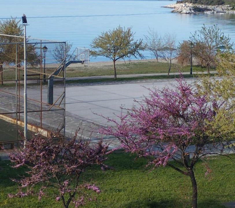 Photo of Others in Kavala