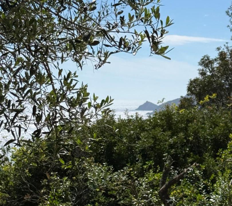 Photo of Others in Ile du Levant