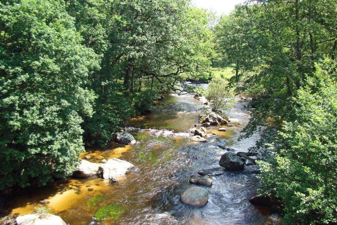 Photo of Others in Nedde