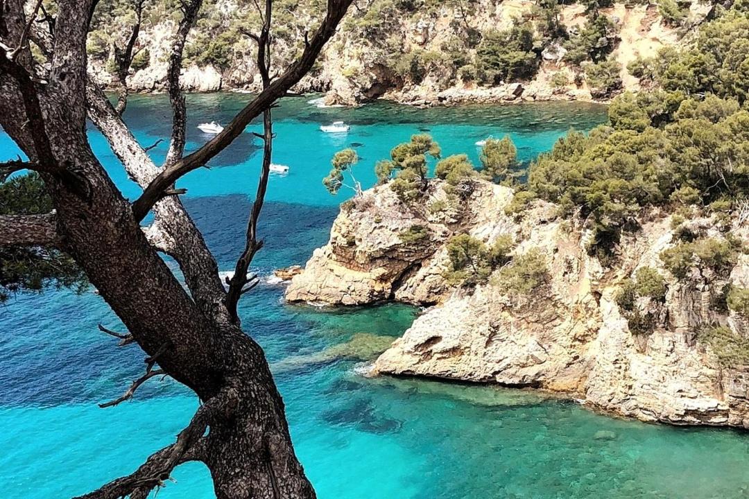Photo of Others in Saint-Cyr-sur-Mer