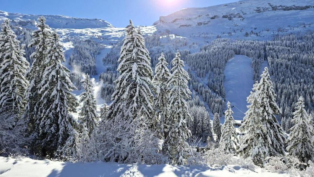 Photo of Others in Flaine