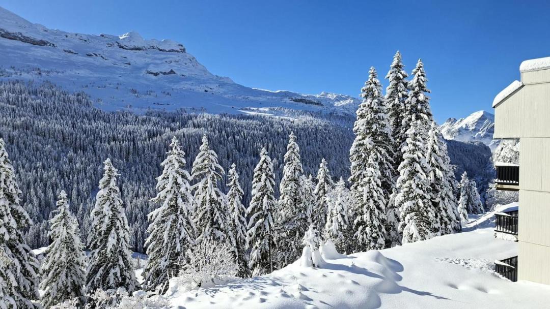 Photo of Others in Flaine