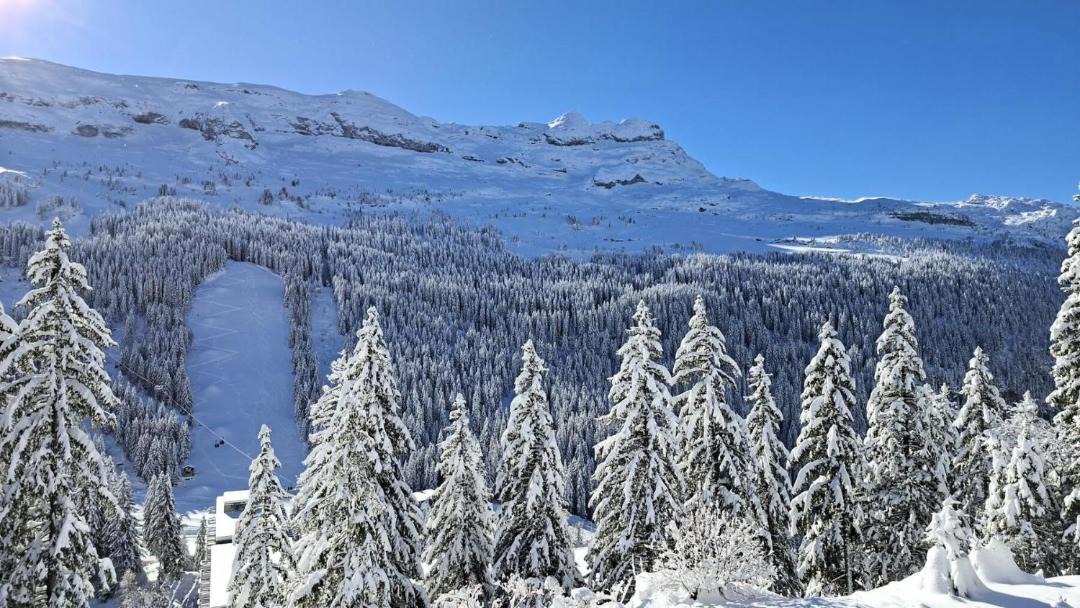 Photo of Others in Flaine