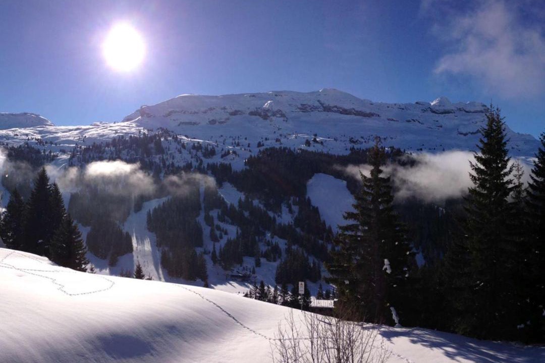 Photo of Others in Flaine