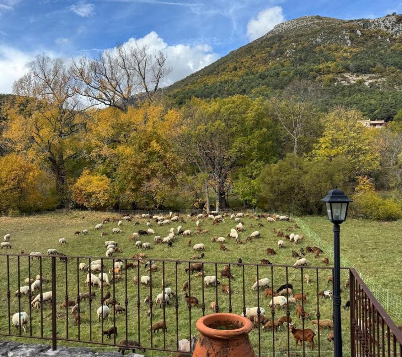 Photo of Others in La Bastide