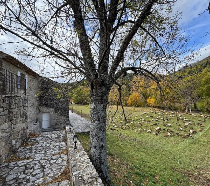 Photo of Others in La Bastide