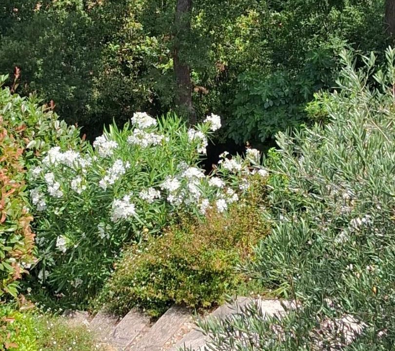 Photo of Others in La Garde-Freinet