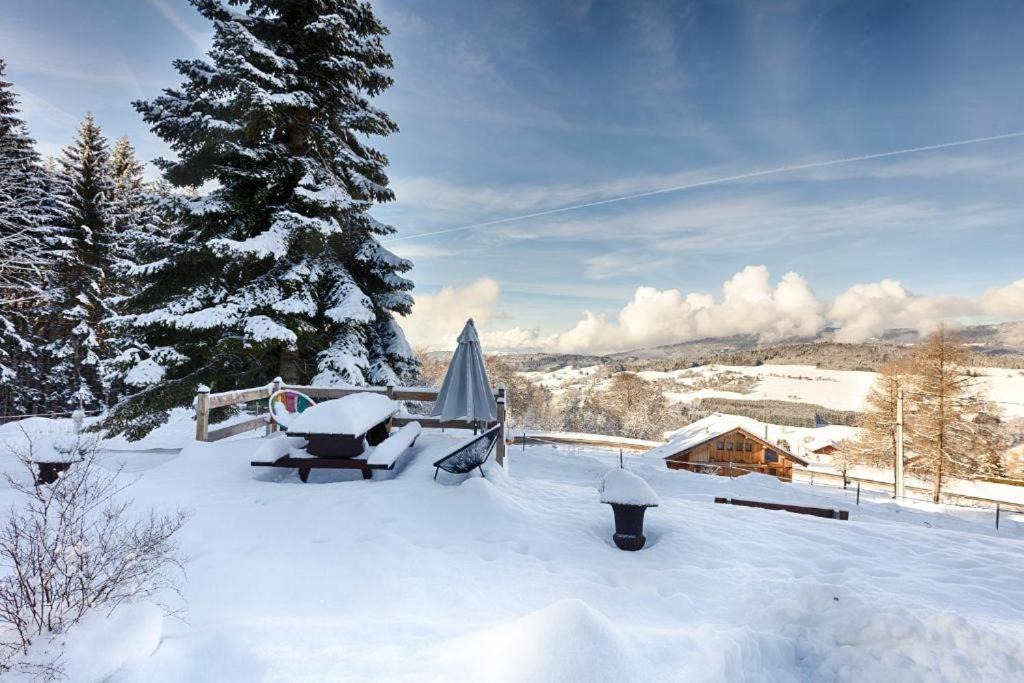 Photo of Others in Bogeve