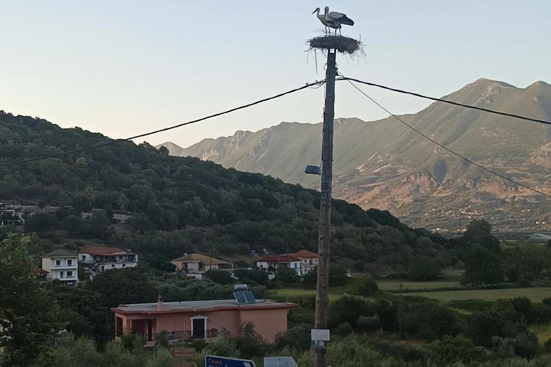 Photo of Others in Souli