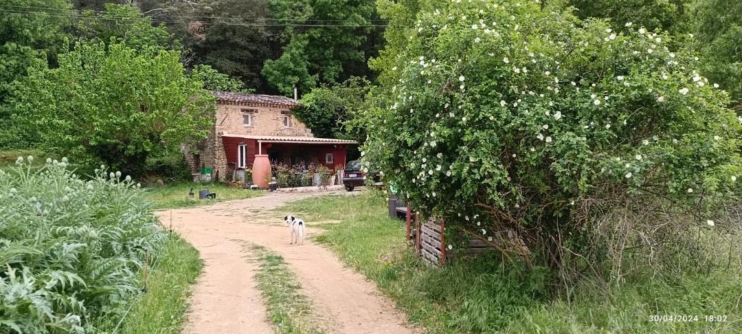 Photo of Others in Le Thoronet