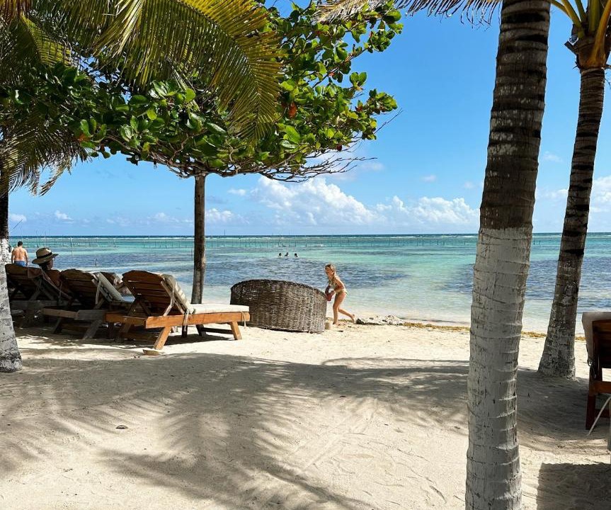 Photo of Others in Mahahual