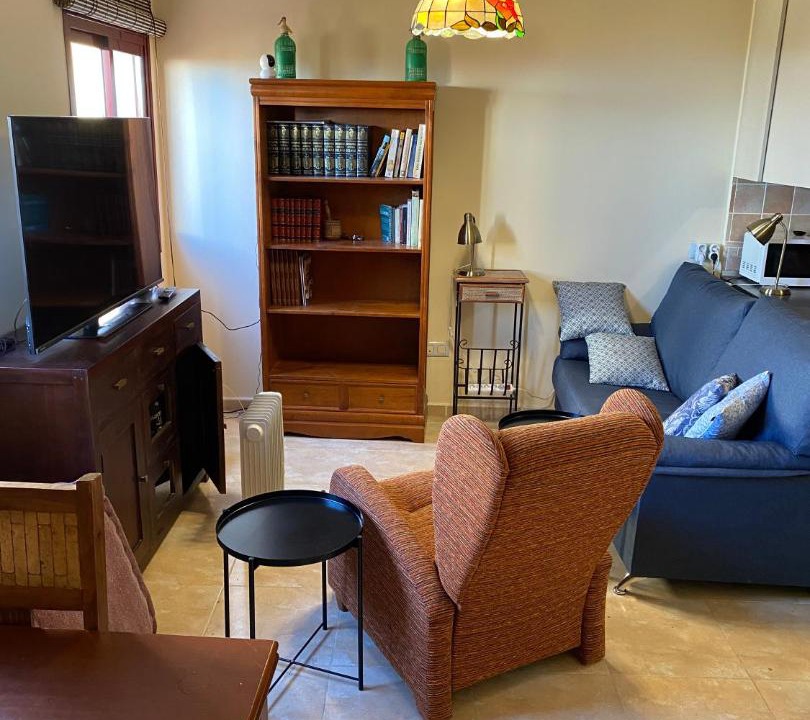Photo of Livingroom in Garachico