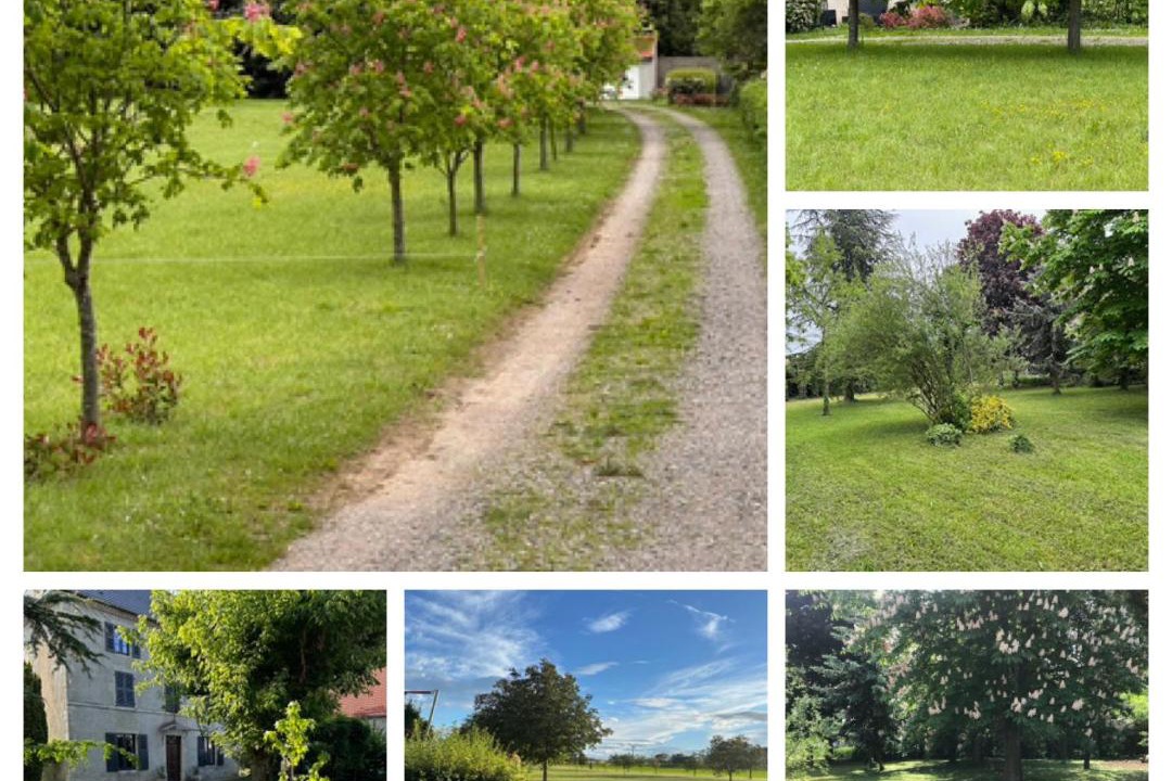 Photo of Outdoor in Saint-Genes-du-Retz