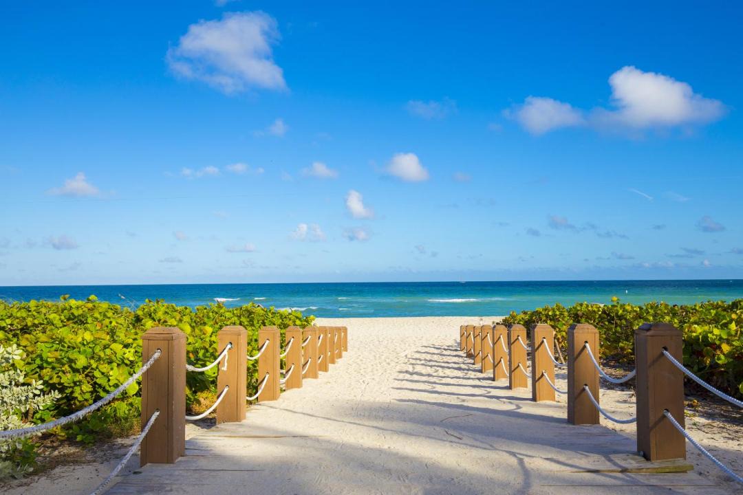 Photo of Others in South Beach