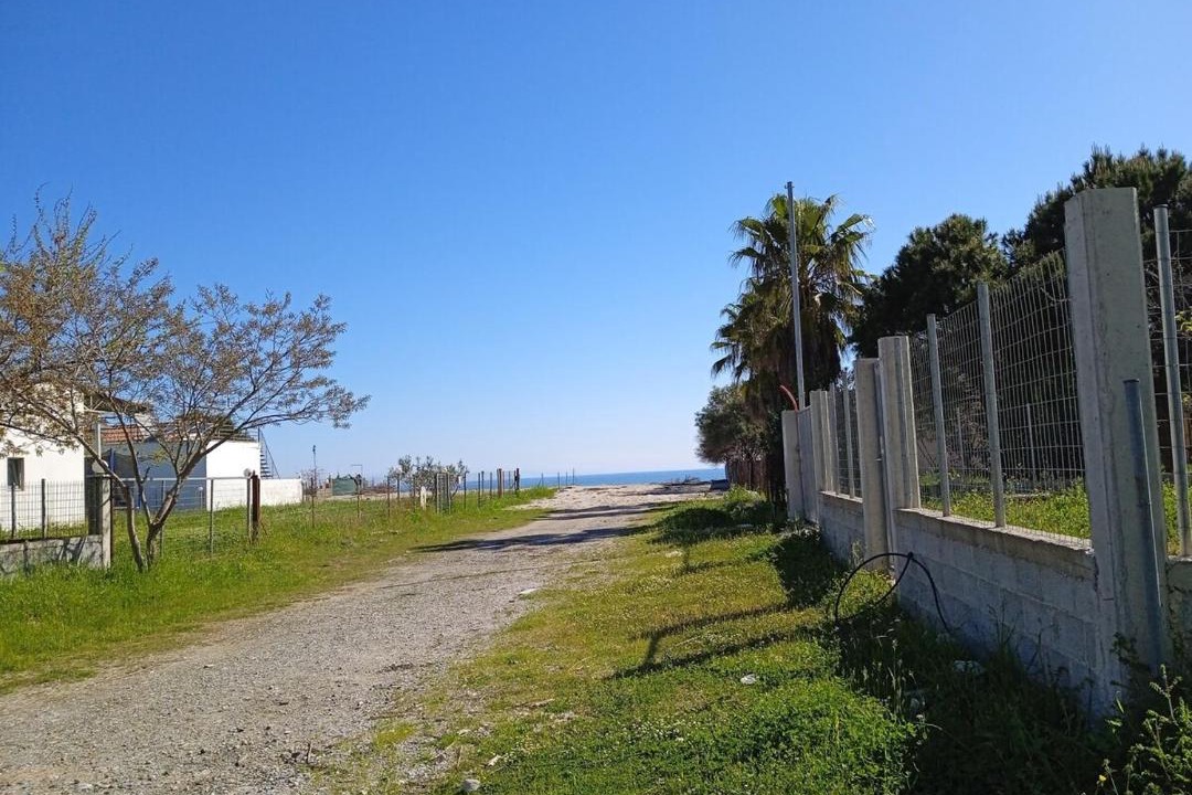 Photo of Others in Agia