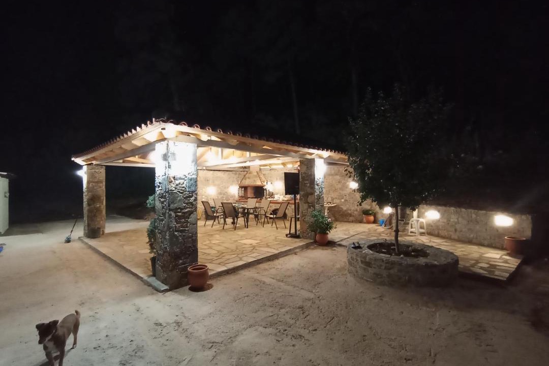 Photo of Others in Alikias