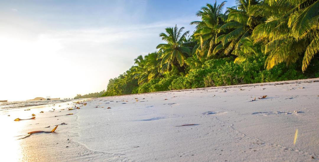 Photo of Others in Grand Anse