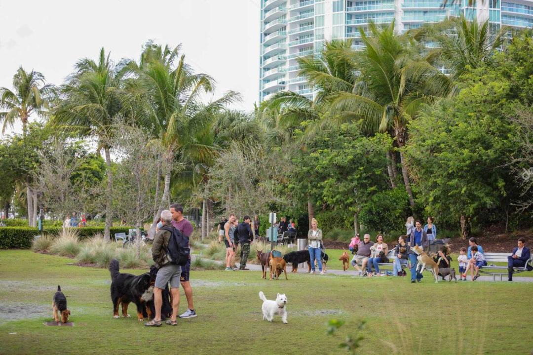 Photo of Others in South Pointe