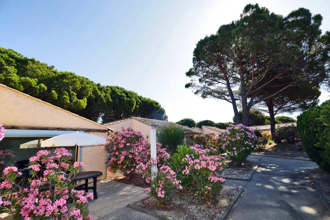 Photo of Others in Ramatuelle