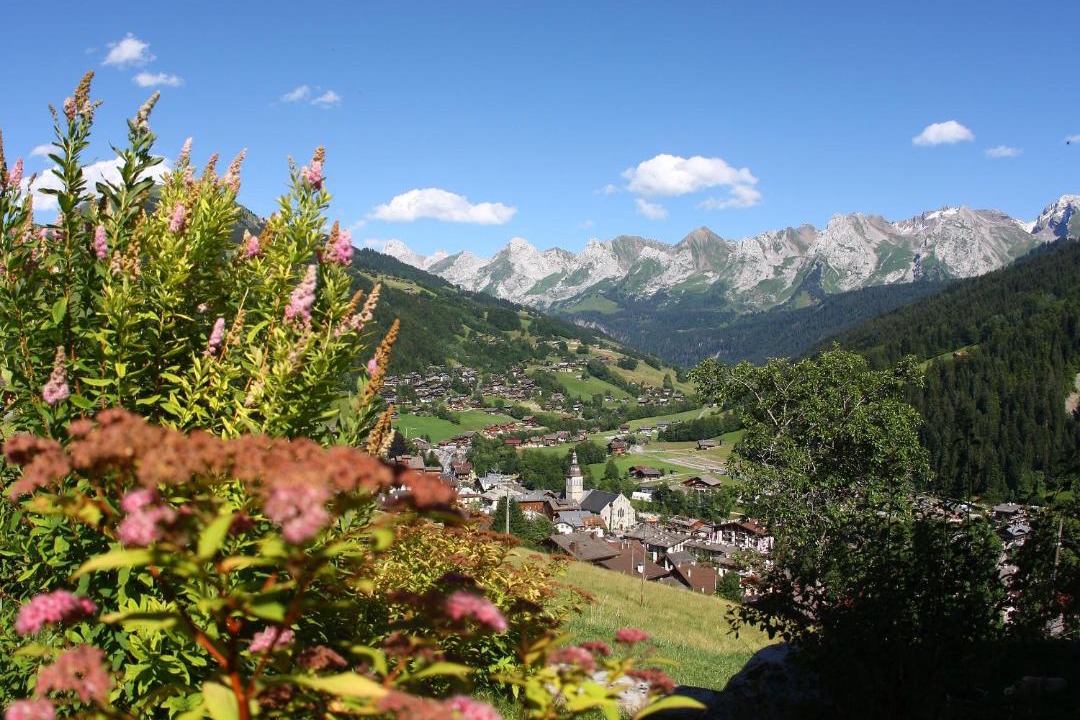 Photo of Others in Le Grand-Bornand