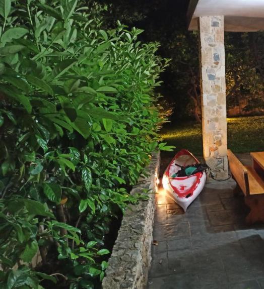 Photo of Patio Balcony in Spata-Artemida
