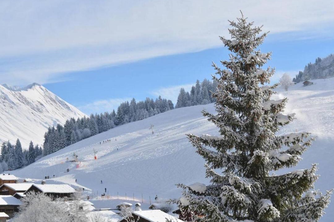 Photo of Others in Le Grand-Bornand