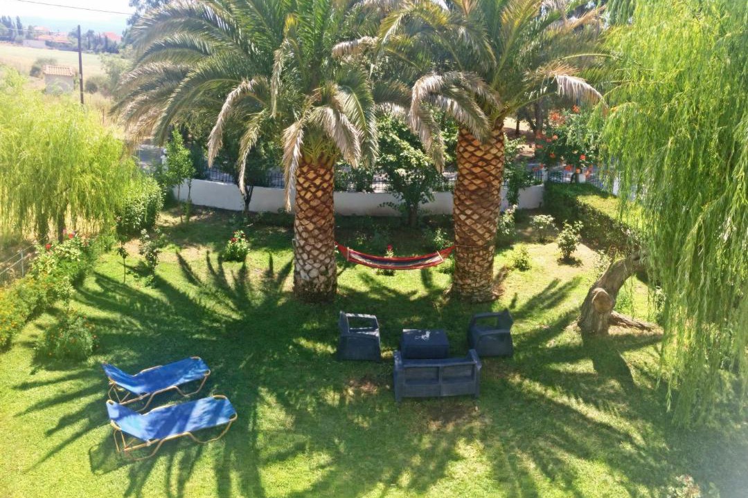 Photo of Others in Skala Kallonis