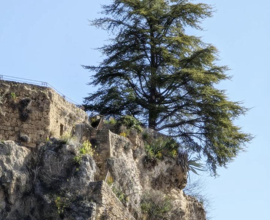 Photo of Others in Barjols