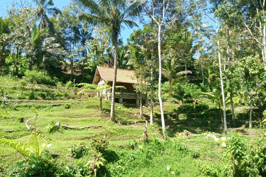 Photo of Others in Wongaya Gede