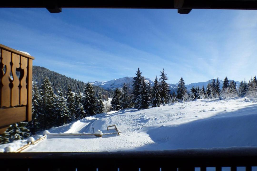 Photo of Others in Les Saisies
