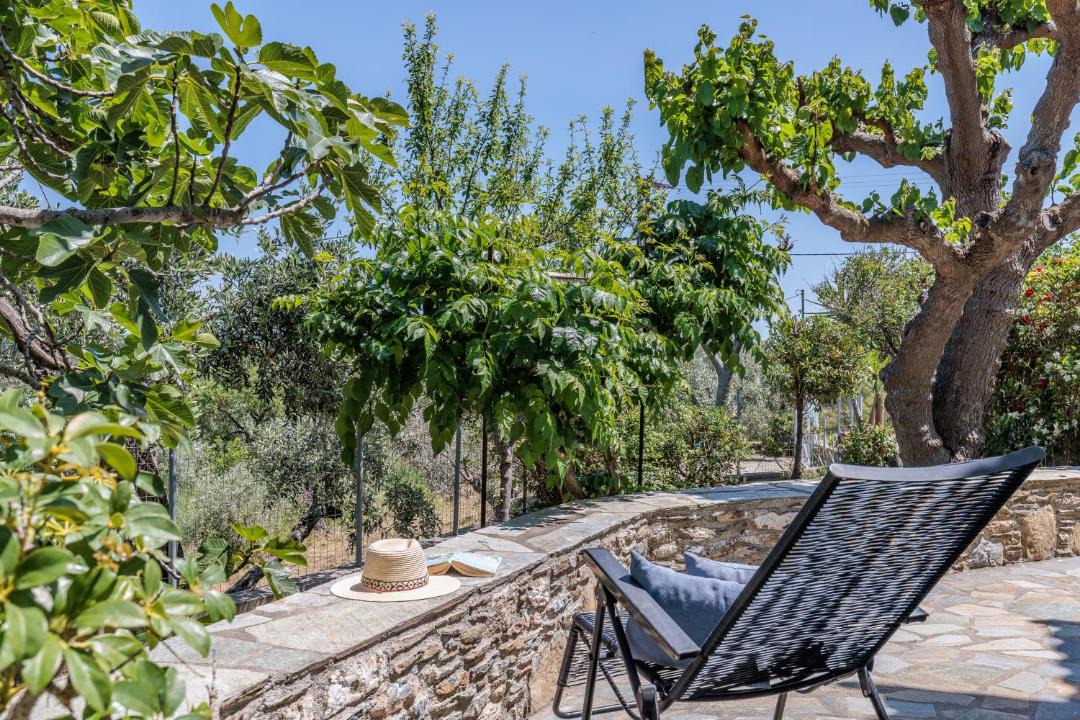 Photo of Patio Balcony in Skopelos
