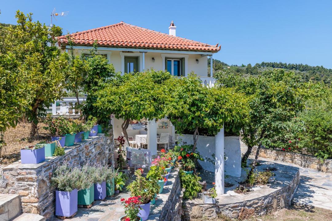 Photo of Others in Skopelos