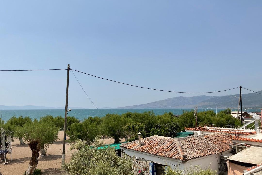 Photo of Others in Skala Kallonis